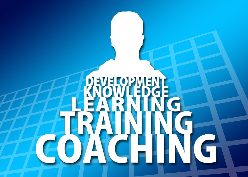 coaching-driving skills